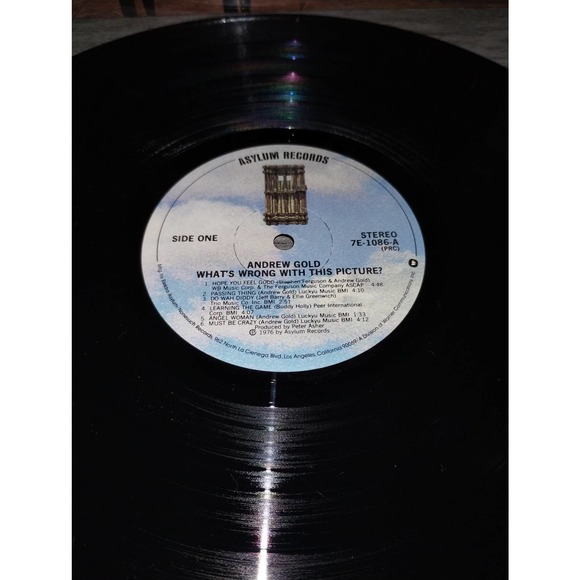 Andrew Gold - What's Wrong with This Picture Vinyl Record 1976, Asylum, 7E-1086 - Picture 4 of 6